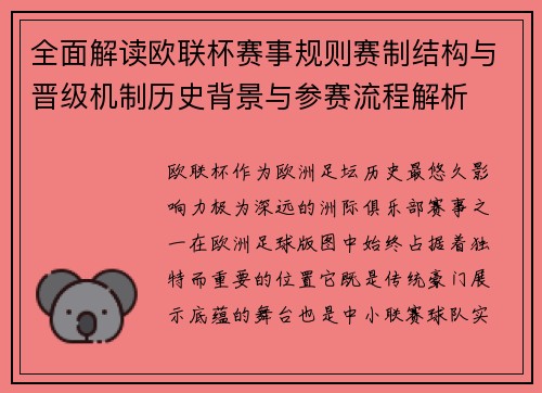 全面解读欧联杯赛事规则赛制结构与晋级机制历史背景与参赛流程解析